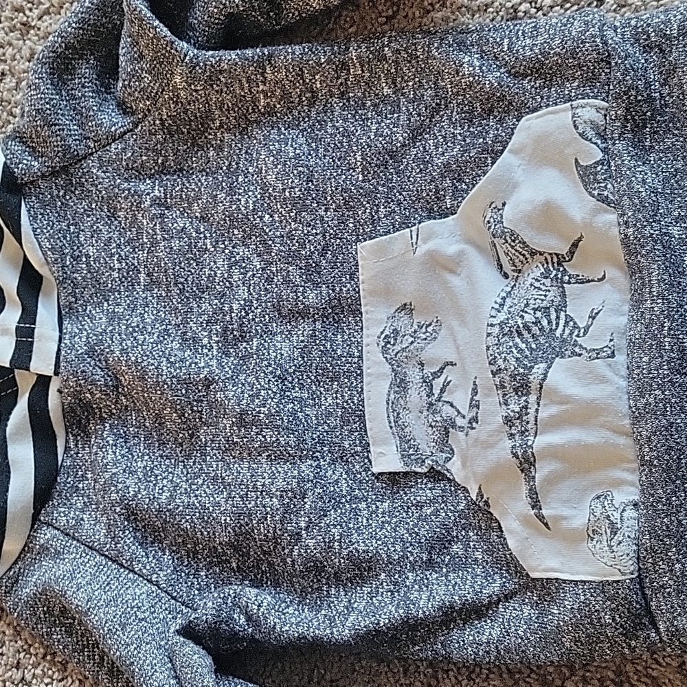 Boutique 12mos outfit 🦕